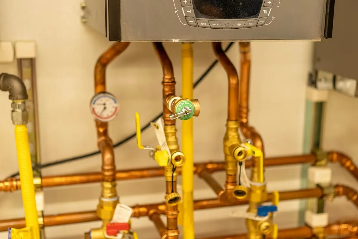 Licensed technician providing Emergency Plumbing for a homeowner in Talladega